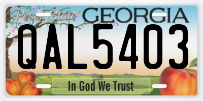 GA license plate QAL5403