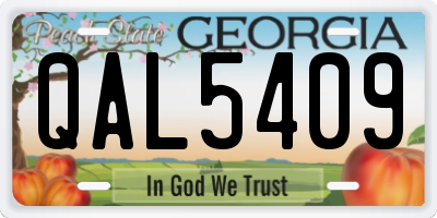 GA license plate QAL5409