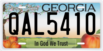 GA license plate QAL5410