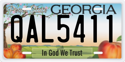 GA license plate QAL5411