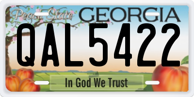 GA license plate QAL5422