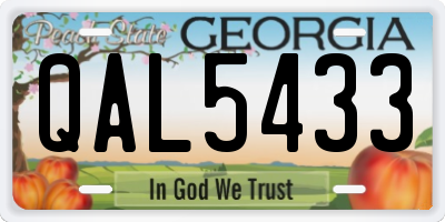 GA license plate QAL5433