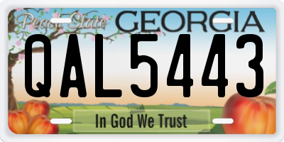 GA license plate QAL5443