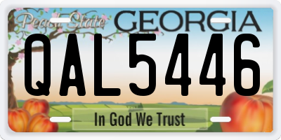 GA license plate QAL5446