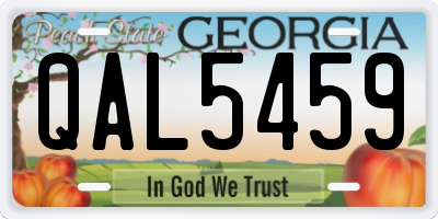 GA license plate QAL5459