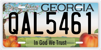 GA license plate QAL5461