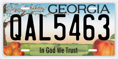 GA license plate QAL5463