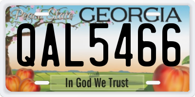 GA license plate QAL5466