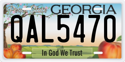 GA license plate QAL5470