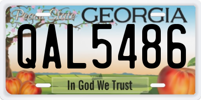 GA license plate QAL5486