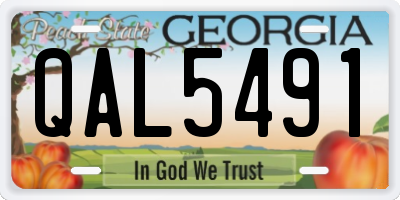 GA license plate QAL5491