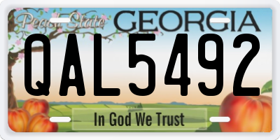 GA license plate QAL5492