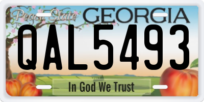 GA license plate QAL5493