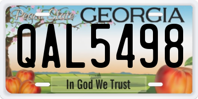 GA license plate QAL5498