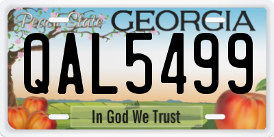 GA license plate QAL5499