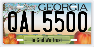 GA license plate QAL5500