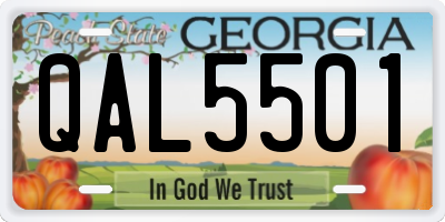 GA license plate QAL5501