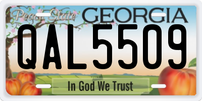 GA license plate QAL5509