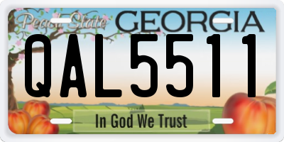 GA license plate QAL5511