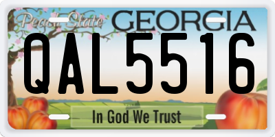 GA license plate QAL5516