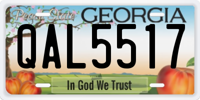 GA license plate QAL5517