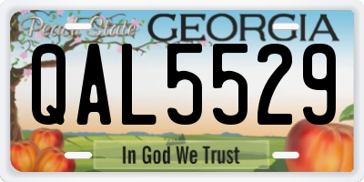 GA license plate QAL5529