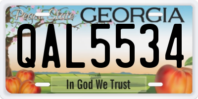 GA license plate QAL5534