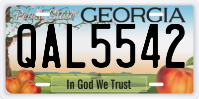 GA license plate QAL5542