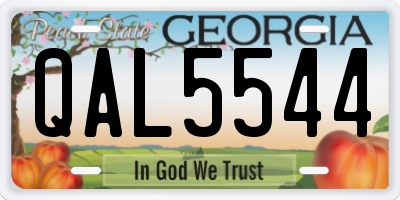 GA license plate QAL5544