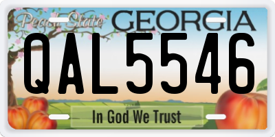 GA license plate QAL5546