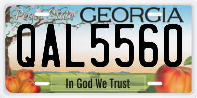 GA license plate QAL5560