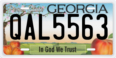 GA license plate QAL5563