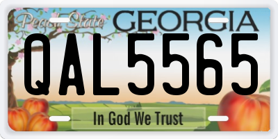 GA license plate QAL5565