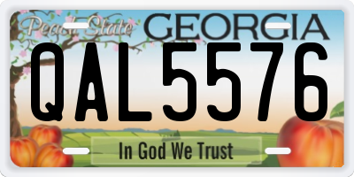 GA license plate QAL5576