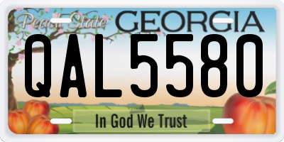 GA license plate QAL5580