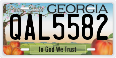 GA license plate QAL5582