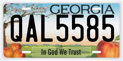 GA license plate QAL5585