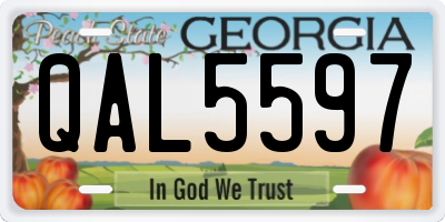 GA license plate QAL5597