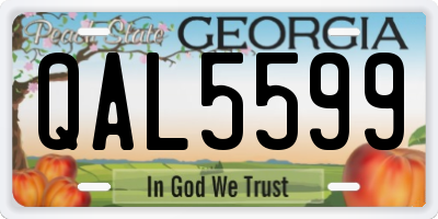 GA license plate QAL5599