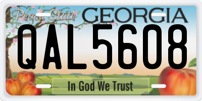 GA license plate QAL5608