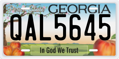 GA license plate QAL5645