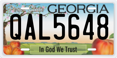 GA license plate QAL5648