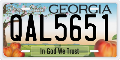 GA license plate QAL5651