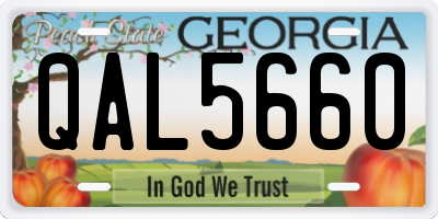 GA license plate QAL5660