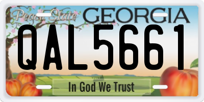 GA license plate QAL5661