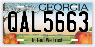 GA license plate QAL5663