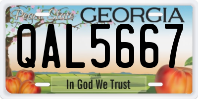 GA license plate QAL5667