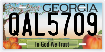 GA license plate QAL5709