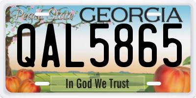 GA license plate QAL5865