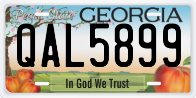 GA license plate QAL5899